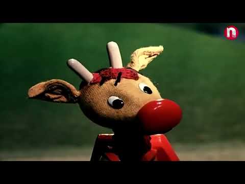 Birlikdə öyrənək - 16.11.2024