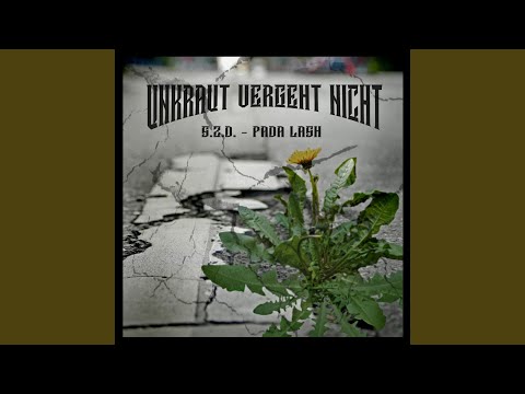 Unkraut vergeht nicht