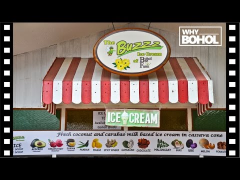 The Best Ice Cream in Bohol - Buzzz Ice Cream