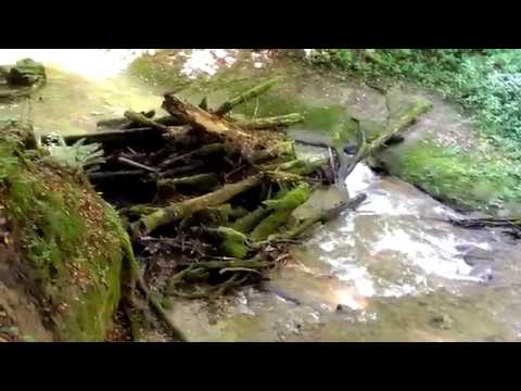 Schweiz 2019 - Tag 20 a: Eine Wanderung durch die Galterenschlucht (Gorges du Gottéron) bei Fribourg