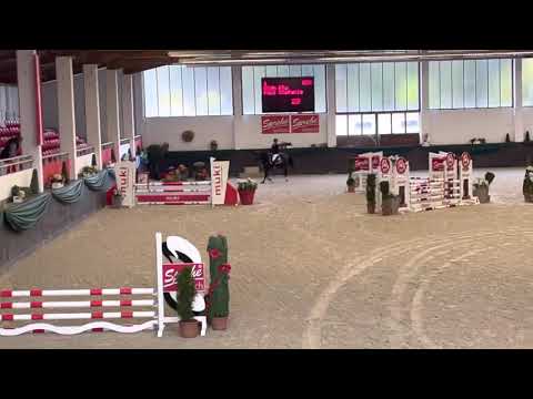 HIGH FLY (6yo Connor) Linz AUSTRIA - 1. Platz Youngster 105 cm