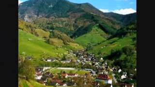 Die Amigos Mein Heimatland