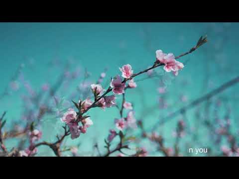 Aye Husn Ke Jadoo - Urdu Nazm - Kalaam e Mahmood