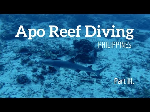Apo Reef Diving 2017, Philippines (part 3)- Diving with Sharks