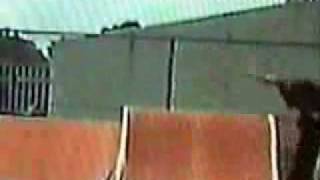 Danger-Regret Sam I Am