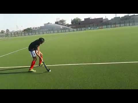 World-Class Hybrid Grass ground