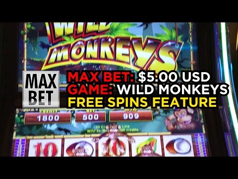 Max Bet Of 5 Dollars In Wild Monkeys Slot Machine Free Spins Feature