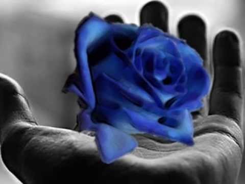 Te llegará una rosa cada día - Alberto Cortéz