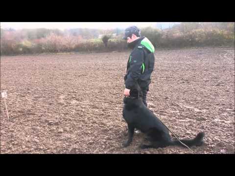 AISAF und Bazooka von Pike´s Spirit