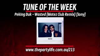 Peking Duk - Wasted (Motez Radio Remix) video