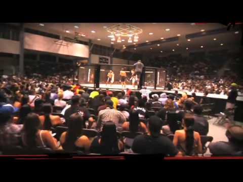 SO YOU THINK YOU CAN FIGHT