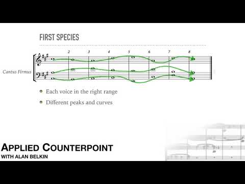 Counterpoint # 8 - three part writing