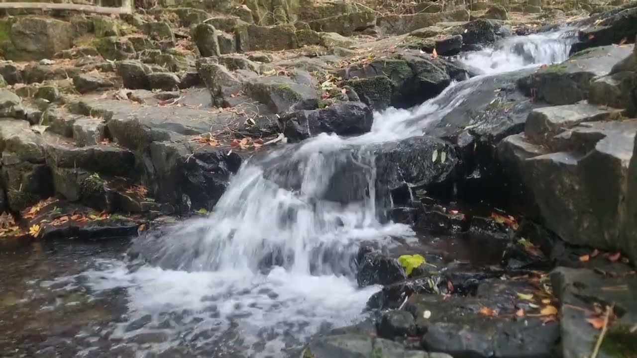 Autumn Ambience, Peaceful Hidden Forest Waterfall, 20 Minutes of Relaxing Water Sounds