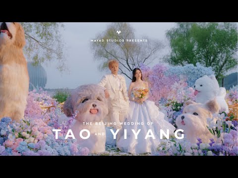 Tao and Yiyang’s Beijing Wedding Video Highlights by Mayad Studios