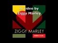 Ziggy Marley - "Forward to Love" Remix | Wild and Free