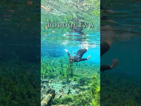 JÁ OUVIU FALAR de BODOQUENA no MATO GROSSO DO SUL?
