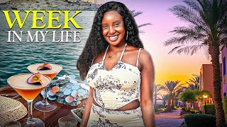 VLOG : A week in my life living alone in Dubai