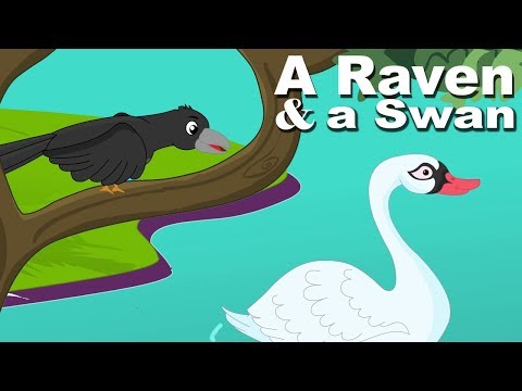 Short Stories For Kids | A Raven And A Swan | Moral Stories For Children