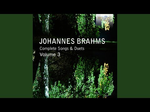 4 Lieder, Op. 43: No. 3, Ich schell mein Horn ins Jammertal