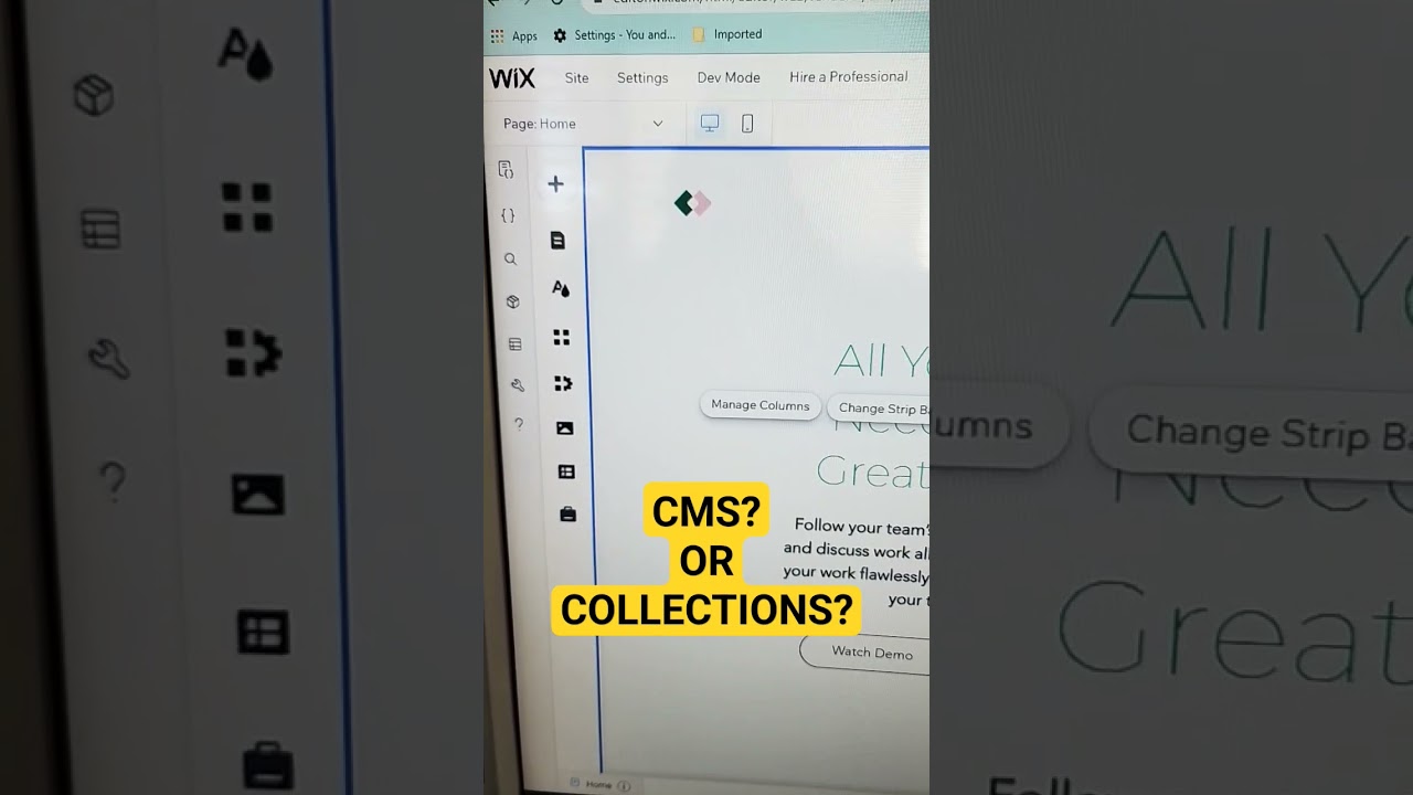 Wix Updates: Exploring Collection Enhancements for Better User Behavior and CMS