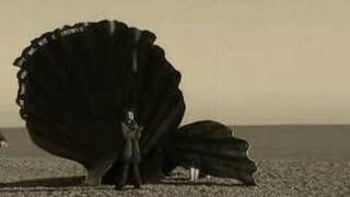 All about the Scallop Aldeburgh Beach Maggi Hambling