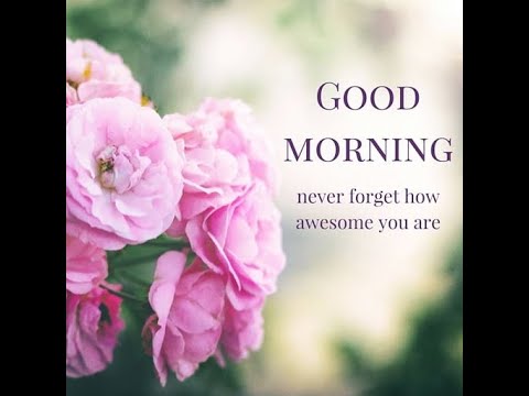 Beautiful Good Morning Quotes