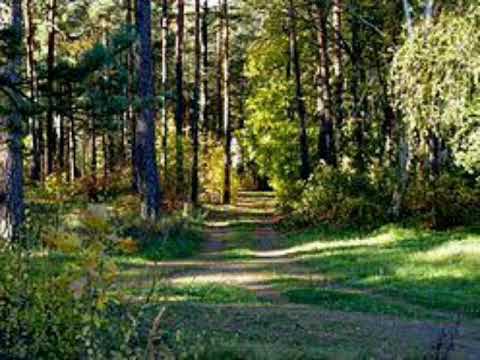 Grafomans-hands on the well