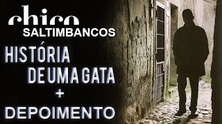 Chico Buarque e Miúcha cantam: História de Uma Gata (DVD Saltimbancos)
