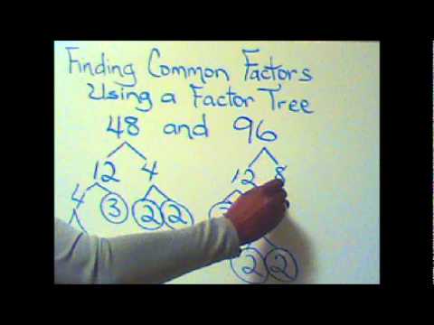 Finding the GFC of a Number Pair