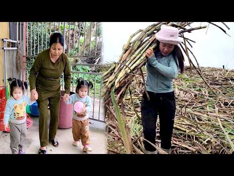 Hong was very upset when her mother decided to stay at her workplace.