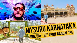 Bangalore to Mysore 🇮🇳 one day trip Plan|India