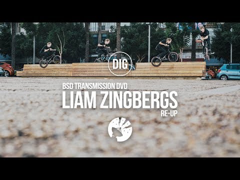 Re-Up: BSD 'Transmission' DVD - Liam Zingbergs