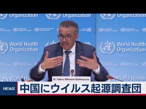 コロナウイルスの起源:中国がWHOの調査を阻止