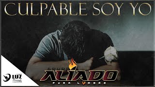 Culpable Soy Yo Music Video