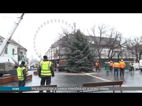 Felállították a város fenyőfáját a Dobó téren - 2020.11.25.
