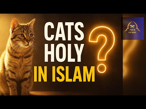Why Cats Are Not Holy in Islam? | Belal Assaad