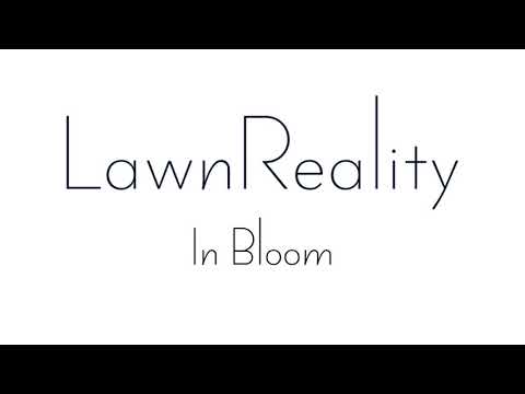 LawnReality - Original Music - In Bloom