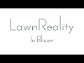 LawnReality - Original Music - In Bloom