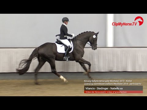 Hengst v. Vilancio - Stedinger - Natiello xx