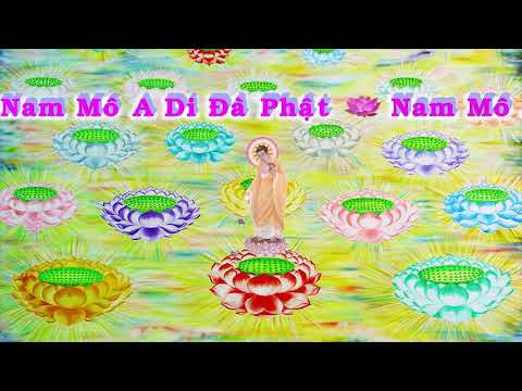 HD | Kinh A Di Đà Sớ Sao Diễn Nghĩa, tập 195 [phụ đề] - Lão Pháp Sư Tịnh Không