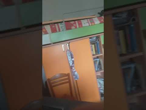 Spiegazione Banco Treno TAF Simulatore Treno 5.02 di Paolo Sbaccheri