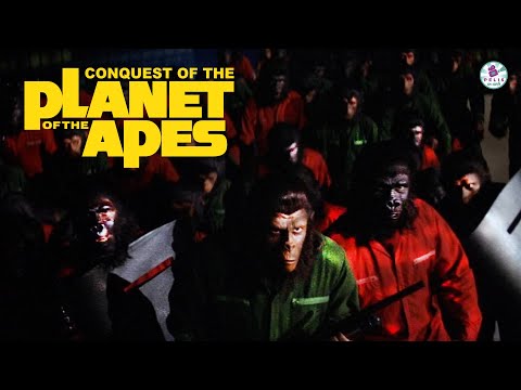 🎬SUMMARY AND OPINION!!! Conquest of the Planet of the Apes (1972)