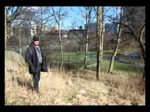 Edward G. Rangström - Sus av regn