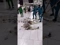 Sarkar Ka Nokar Hun Koi Aam Nahi Hun