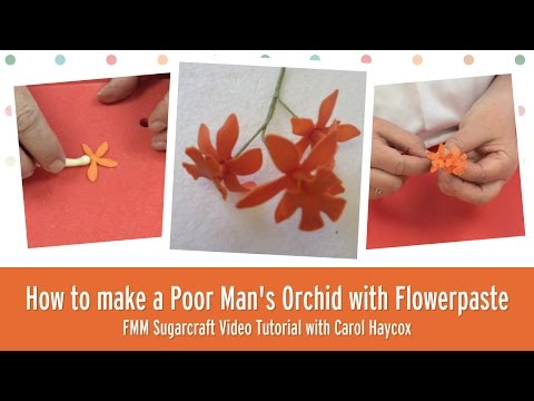 Poor Mans / Butterfly Orchid / Schizanthus 2 pc icing cutter set Poor Mans / Butterfly Orchid / Schizanthus 2 pc icing cutter set