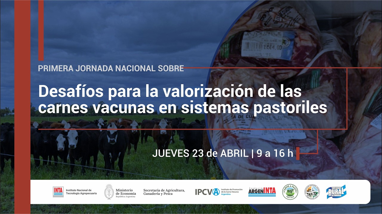 Desafíos para la valorización de las carnes vacunas en sistemas pastoriles