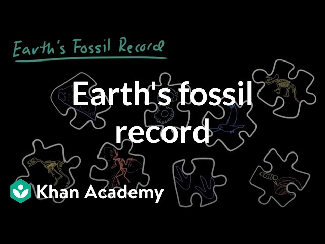 Earth's Fossil Record Reveals the Evolutionary History and Extinction ...