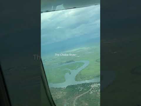 Dodging Thunderstorms while Flying into the Okavango Delta #shorts #africansafari #fpv