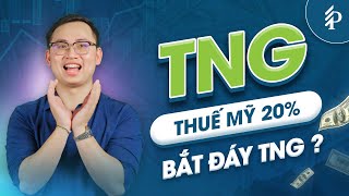 TNG: Thuế Mỹ đe dọa nhóm Xuất khẩu – Liệu đã bắt đáy được TNG? | Phân tích cổ phiếu