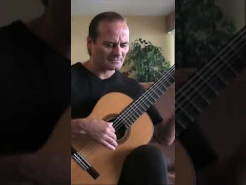 A Gift Of A Thistle (Theme from Braveheart) Michael Marc - Solo Guitar